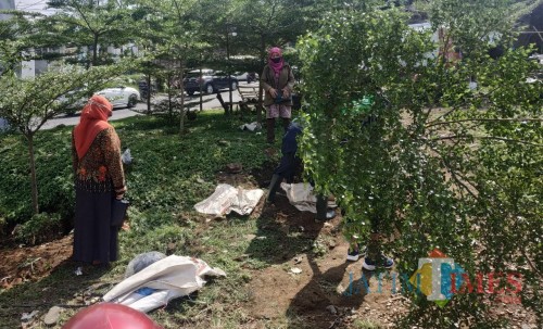 Kebun bibit Garbis, DLH Kota Malang (Amin)