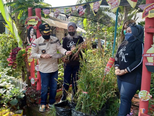 Wali Kota Malang Sutiaji bersama Ketua TP PKK Kota Malang Widayati saat meninjau lokasi penanaman herbal.(Anggara Sudiongko/MalangTIMES)