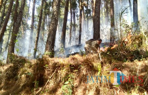 Petugas saat memadamkan kebakaran di di Petak 233b RPH Oro-oro Ombo, KPH Pujon, Desa Pesanggrahan, Kota Batu, Selasa (30/10/2018). (Foto: BPBD Kota Batu for MalangTIMES)