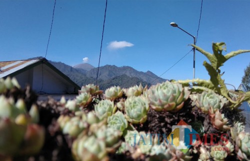 Puncak Mahameru (mengeluarkan asap putih) saat difoto dari ketinggian Desa Ngadas, Kabupaten Malang, beberapa waktu lalu. (Foto: Nurlayla Ratri/MalangTIMES)