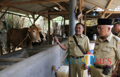 (Dua dari kanan) Wabup Malang HM. Sanusi menyampaikan butuh sentuhan berbeda dengan apa yang selama ini peternak sapi perah lakukan di Jabung, Selasa (30/10/2018). (Humas for MalangTIMES)