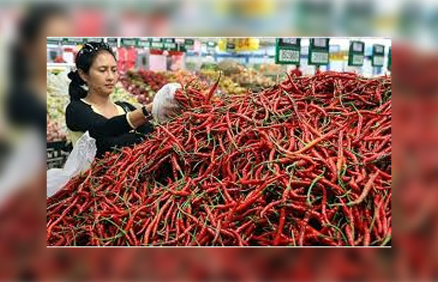 Harga cabai keriting stabil walau persediaan atau stok komoditas ini terbilang berlimpah. (Ist)