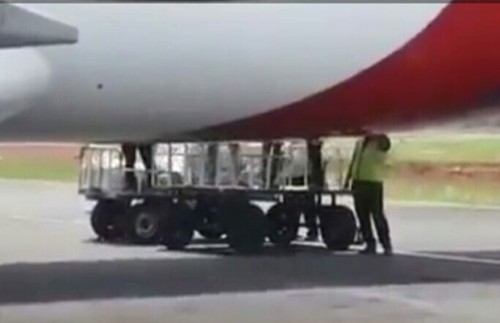 Penurunan durian sebanyak 3 ton dari pesawat Sriwijaya Air di Bandara Fatmawati Soekarno Bengkulu. (Ist)