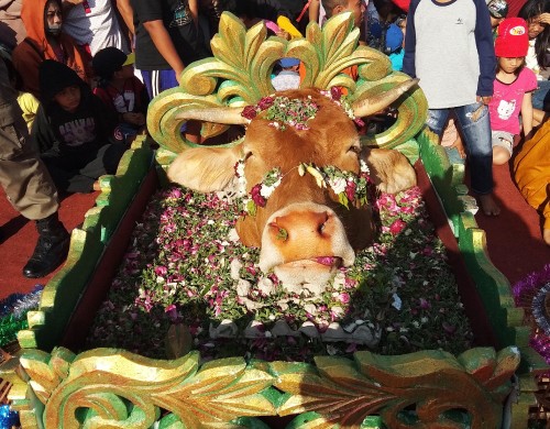 Kepala sapi yang akan dilarung di sungai brantas. (eko Arif s/JatimTimes)