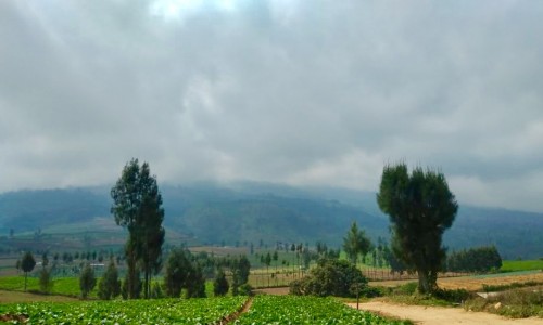 Kondisi di Gunung Arjuna. (Foto: istimewa)