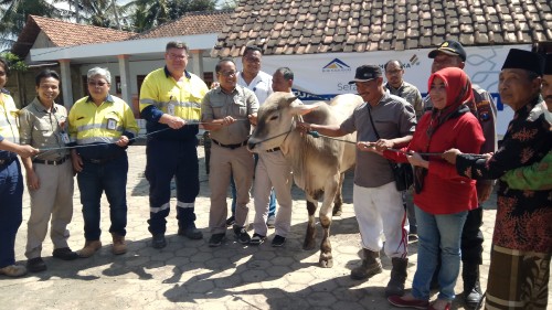 Penyerahan hewan qurban kepada Takmir Masjid di Dusun Silirbaru, Desa Sumberagung, Kecamatan Pesanggaran