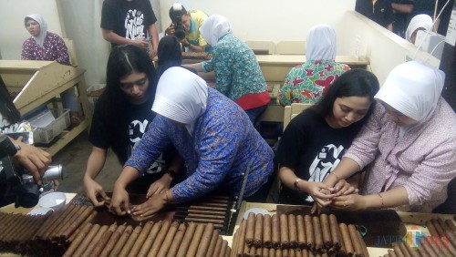 Finalis Gus dan Ning Jember saat belajar membuat cerutu Handmade dari karyawan PT. BIN Cigar Jember (foto : Moh. Ali Makrus / Jatim TIMES)