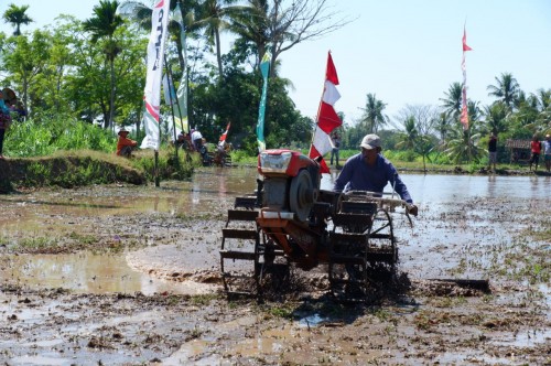 salah seorang peserta lomba handtractor mengoperasikan handtractornya