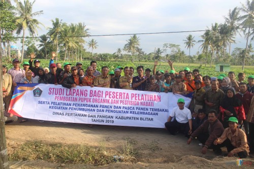 Para petani Blitar dan Dispertapa melihat langsung lahan pertanian tembakau di Bondowoso.(Foto : Aunur Rofiq/BlitarTIMES)