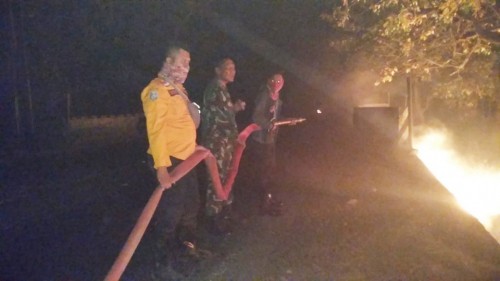Petugas bergotong-royong memadamkan kobaran api Blok Bitakol Hutan Taman Nasional Baluran.