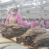 Hits Di Tulungagung Inilah Jenis Dan Arti Garangan Bagi Pelakor