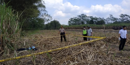 Petugas kepolisian saat melakukan olah TKP di lokasi penemuan mayat (Foto : Dokumen MalangTIMES)