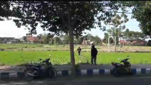 Hasil tangkapan layar pengendara yang lari ke sawah untuk menghindari razia.
