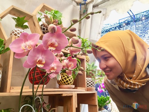 Salah satu spesies anggrek yang memukau pengunjung dalam Shining Orchid Week 2019 di Balai Kota Among Tani, Senin (7/10/2019). (Foto: Irsya Richa/MalangTIMES)