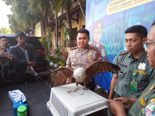 Kapolres Malang Kota AKBP Dony Alexander bersama BKSDA saat menunjukkan elang yang diamankan dari pelaku NR.