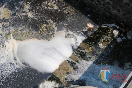 Kondisi sungai di Kecamatan Kesamben yang tercemar limbah. (Foto : Adi Rosul / JombangTIMES)