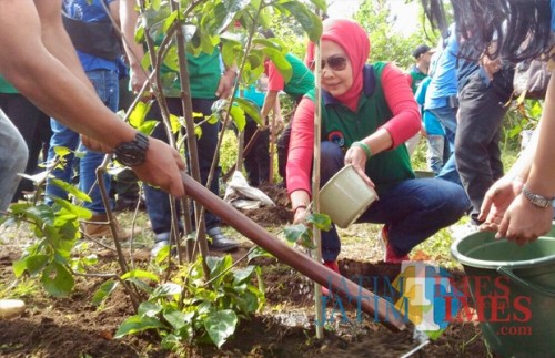 Wali Kota Batu Dewanti Rumpoko saat menanam pohon di area Coban Talun, Desa Tulungrejo, Kecamatan Bumiaji, beberapa saat lalu. (Foto: Irsya Richa/MalangTIMES)
