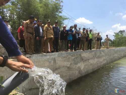 Bupati Malang HM Sanusi beserta rombongan saat melakukan peninjauan di salah satu embung yang ada di Kecamatan Poncokusumo (Foto : Ashaq Lupito / MalangTIMES)