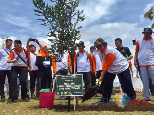 Menteri Lingkungan Hidup dan Kehutanan Siti Nurbaya Bakar saat menanam pohon makadamia di area Jlibar, Kecamatan Batu, Kamis (5/12/2019). (Foto: Irsya Richa/MalangTIMES)