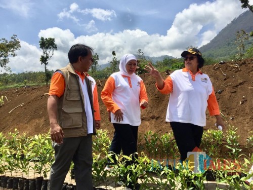 Menteri Lingkungan Hidup dan Kehutan Siti Nurbaya Bakar saat meninjau UPSA di Jalur Lintas Barat, Kecamatan Batu. (Foto: Irsya Richa/MalangTIMES)