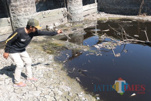 Kodisi Sungai Avur Budug Kesambi yang tercemar limbah (Foto: Adi Rosul/ JombangTIMES)