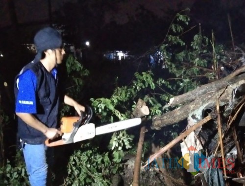 Petugas saat melakukan pemotongan pohon tumbang yang menutup akses jalan usai musibah angin kencang menerjang puluhan rumah warga di Kecamatan Pakis (Foto : PMI Kabupaten Malang for MalangTIMES)