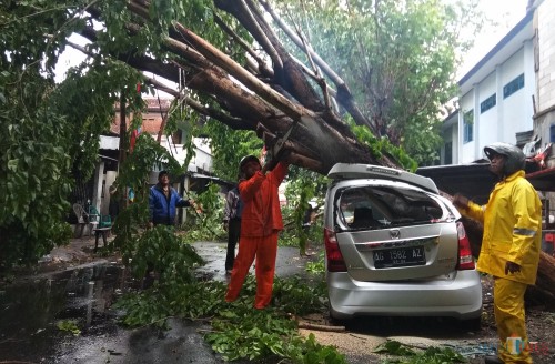 Petugas memotong pohon yang menimpa sebuah mobil. (eko Arif s /JatimTimes)