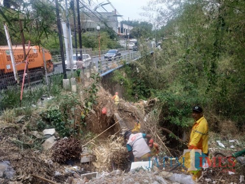 DLH Kota Malang saat membersihkan sungai di Jembatan Tidar (Hendra Saputra)