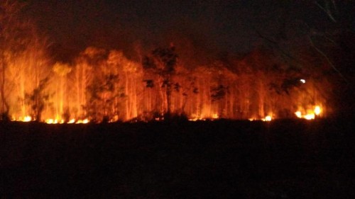Petugas pemadam kebakaan saat berupaya memadamkan api (Foto : Dokumen MalangTIMES)