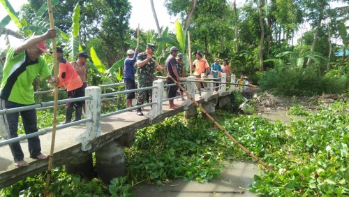 Perangkat desa Paseban bersama jajaran TNI dan Polri saat membersihkan enceng gondok di saluran Sungai Bondoyudo. (Foto: Ulum/JatimTIMES)