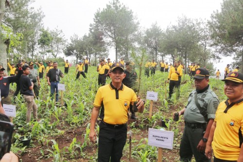 Kapolresta Kediri AKBP Miko Indrayana menanam pohon pinus. (eko Arif s /JatimTimes)