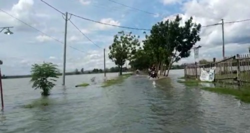 Terlihat jalan desa dan lahan pertanian di Kecamatan Ploso Jombang terendam banjir. (Istimewa)