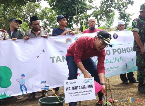 Wali Kota Malang Sutiaji saat menanam bibit pepaya di pekarangan rumah salah satu warga Dukuh Baran, Kelurahan Buring, Kecamatan Kedungkandang, Kota Malang (Pipit Anggraeni/MalangTIMES)