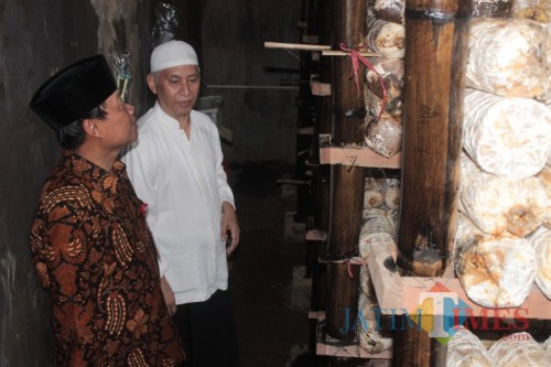 Pengasuh Pondok Pesantren Bahrul Maghfiroh, Mohammad Bisri (baju putih) bersama Kepala KPwBI Malang, Azka Subkhan Aminurridho saat memeriksa area Rumah Jamur di PP Bahrul Maghfiroh (Arifina Cahyanti Firdausi/MalangTIMES)