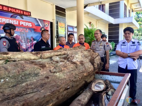 Barang bukti kayu Sonokeling ilegal bersama dua tersangka (baju orange) dan dari Kanan Kasat Reskrim AKP Hendro Triwahyono dan Waka Polres Batu Kompol Zein Mawardi di Mapolres Batu, Jumat (17/1/2020). (Foto: Irsya Richa/MalangTIMES)