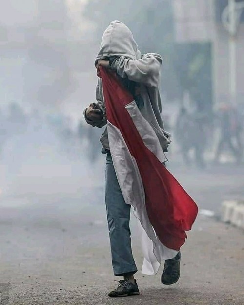 Foto Lutfhi yang jadi ikon perlawanan mendadak ramai diperbincangkan gegara adanya editan bendera dari merah putih jadi bendera NasDem (Ist)