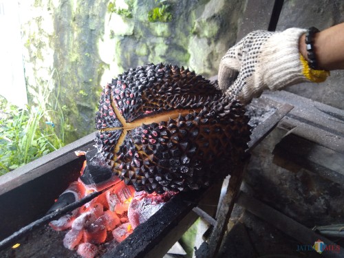 Durian Bakar khas pegunungan Wonosalam Jombang. (Foto: Adi Rosul/JombangTIMES)