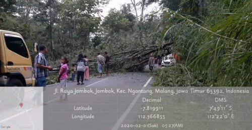 Pohon tumbang menutup Jalan Raya Jombok, Kecamatan Ngantang, Kabupaten Malang, Sabtu (1/2/2020). (Foto: istimewa)