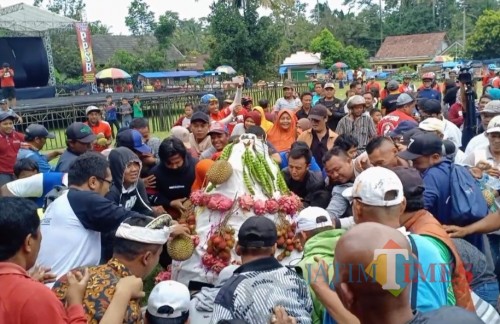 Festival Durian yang digelar di Desa Sumberasri dibanjiri pengunjung.(Foto : Team BlitarTIMES)