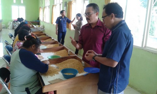 Rombongan Unikama saat berkunjung ke Balitkabi. (ist)