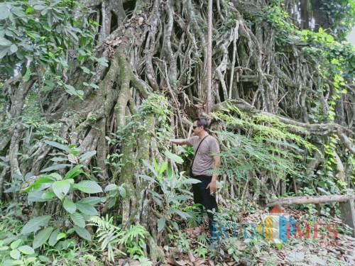 Paranormal Ki Sabdo Pinandito saat melakukan penerawangan di Blumbang Pacuh.(Foto : Aunur Rofiq/Blitar TIMES)