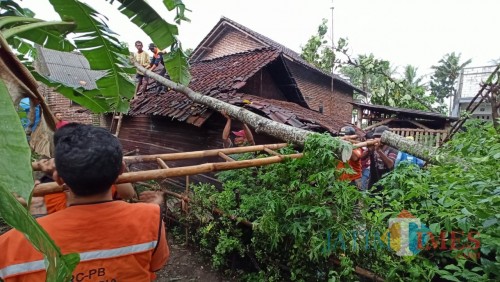 Petugas beserta warga saat mengevakuasi rumah warga yang roboh akibat tertimpa pohon tumbang yang diterjang angin kencang (Foto : PMI Kabupaten Malang for MalangTIMES)