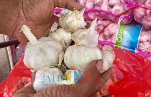 Seorang pedagang memegang bawang putih di Pasar unit sayur Kota Batu. (Foto: Irsya Richa/MalangTIMES)