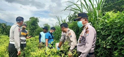 Petugas kepolisian saat melakukan olah TKP di lokasi kejadian