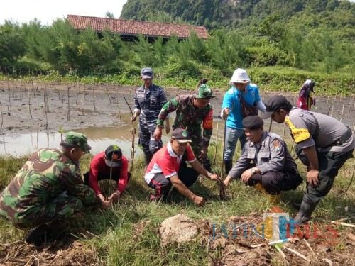 Penanaman pohon mangrove bertujuan menjaga kelestarian alam.(Foto : Team BlitarTIMES)