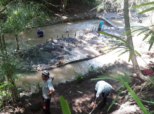 Anggota Kaliku (Kelompok Aktivis Lingkungan dan Kelestarian Budaya) sedang membuat pulau buatan kecil yang ada di tengah sungai. (Foto: Tubagus Achmad/MalangTimes)