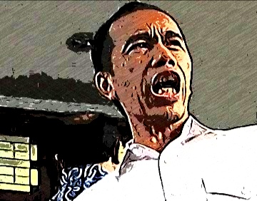 Presiden Jokowi memberi instruksi Gubernur dan Kapolda Riau untuk cek lapangan terkait Perhutanan Sosial (Ist)