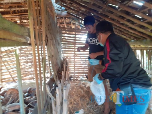 Polisi melakukan olah TKP di lokasi kandang sapi tempat gantung diri.(Foto : Team BlitarTIMES)