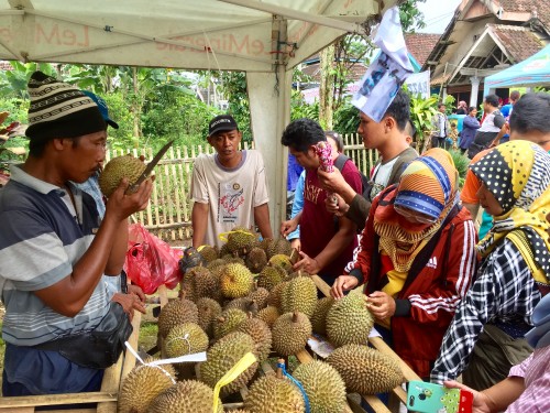 Pengunjung saat memilih durian di salah satu stand di Bazar Durian dan Bibit Pohon, Dusun Kasin, Desa Jombok, Kecamatan Ngantang, Kabupaten Malang, Minggu (1/3/2020) (Foto: Irsya Richa/MalangTIMES)