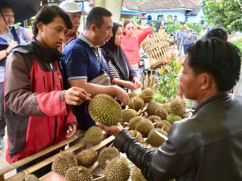 Pengunjung saat memilih durian di salah satu stand di Bazar Durian dan Bibit Pohon, Dusun Kasin, Desa Jombok, Kecamatan Ngantang, Kabupaten Malang, Minggu (1/3/2020). (Foto: Irsya Richa/ MalangTIMES)